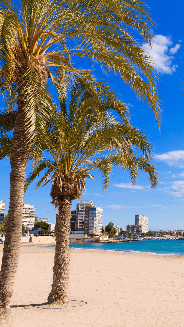 View of Alicante city used on Atlex Legal website for Spanish immigration context