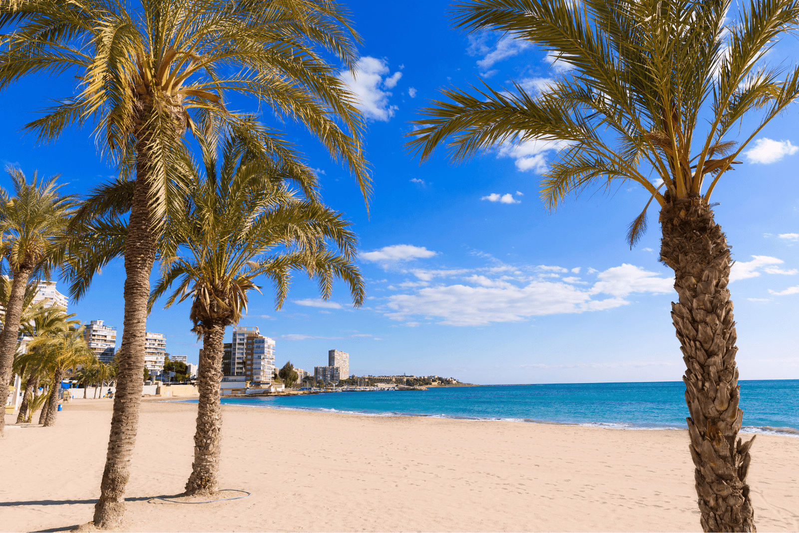 Alicante